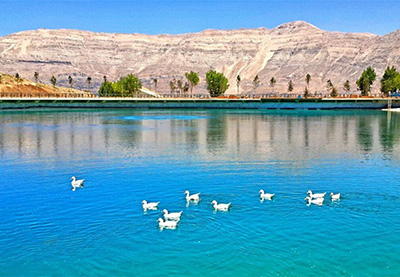 Lake Activities: Boats &amp; Pedalos