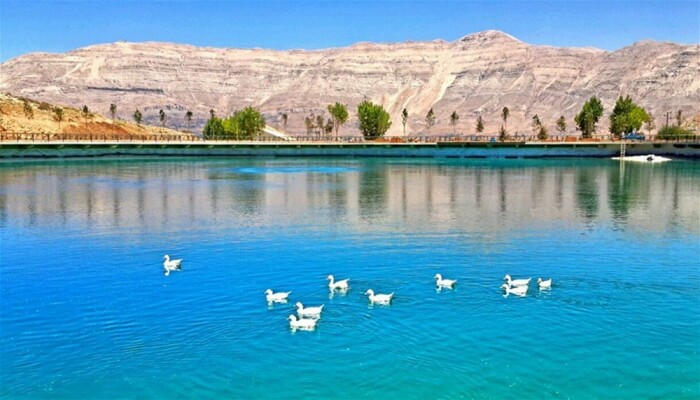 Lake Activities: Boats &amp; Pedalos